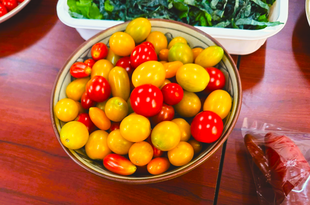 Promoting Wellness in the Workplace: Healthy Food Option Initiative in Partnership with DENSO AgriTech Solutions | viber_image_2025-06-20_16-16-00-235 (1)